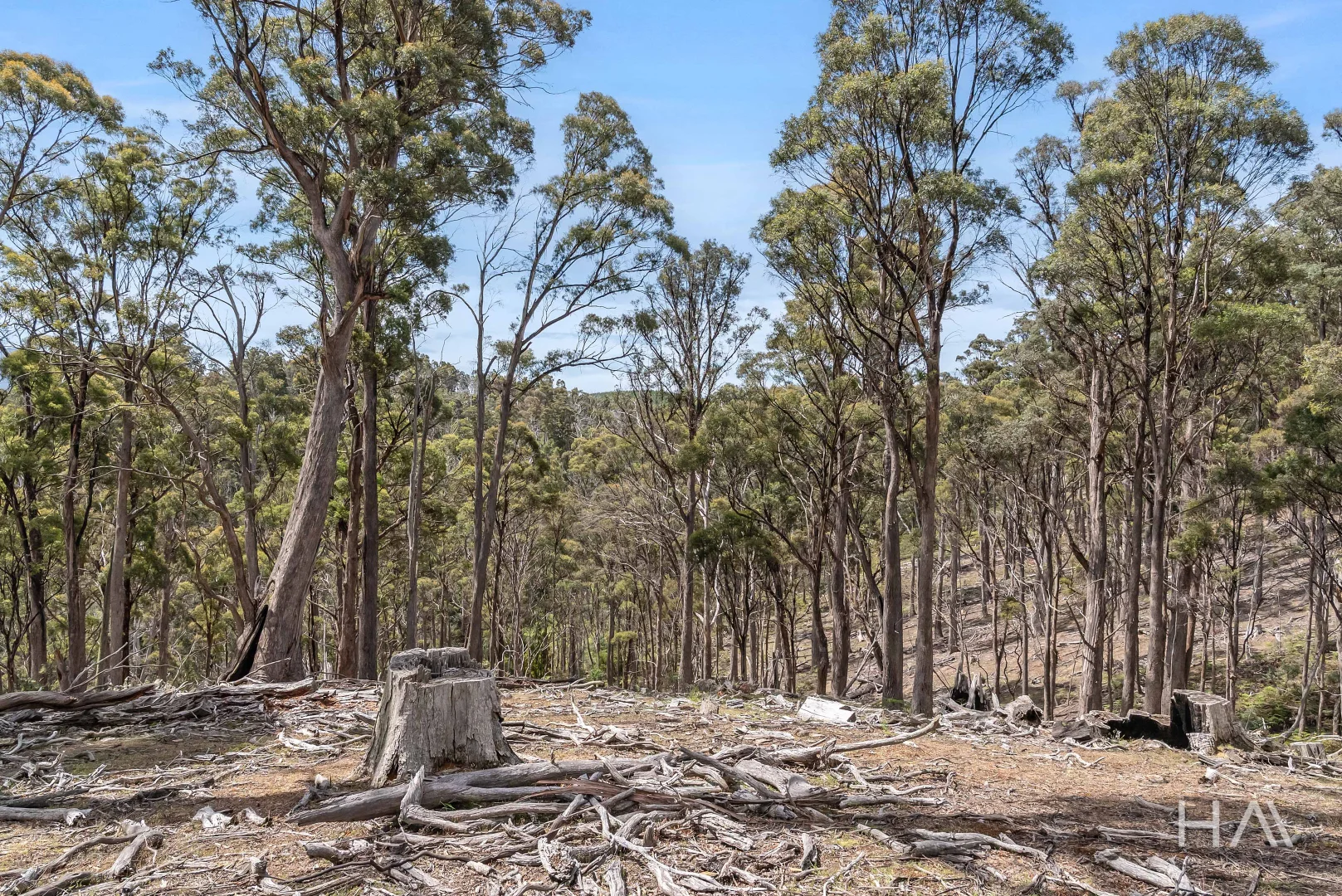Additional image 13 of English Town Road, Deddington TAS 7212