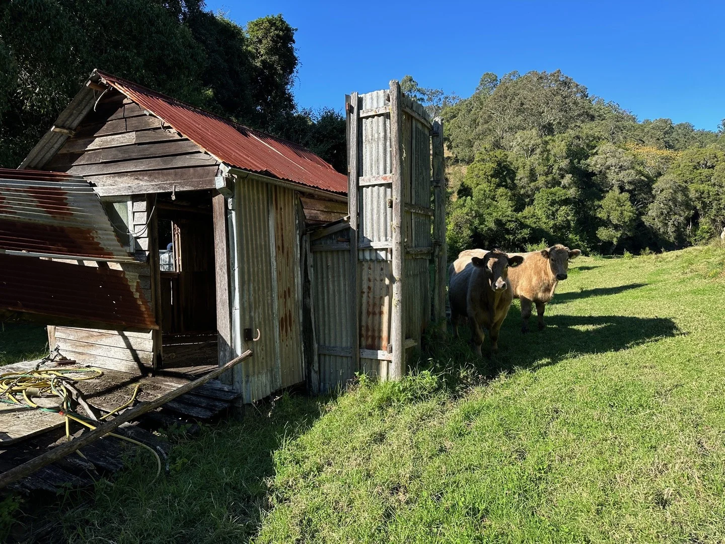 Additional image 5 of 129 Quartpot Creek Road, Dungog NSW 2420