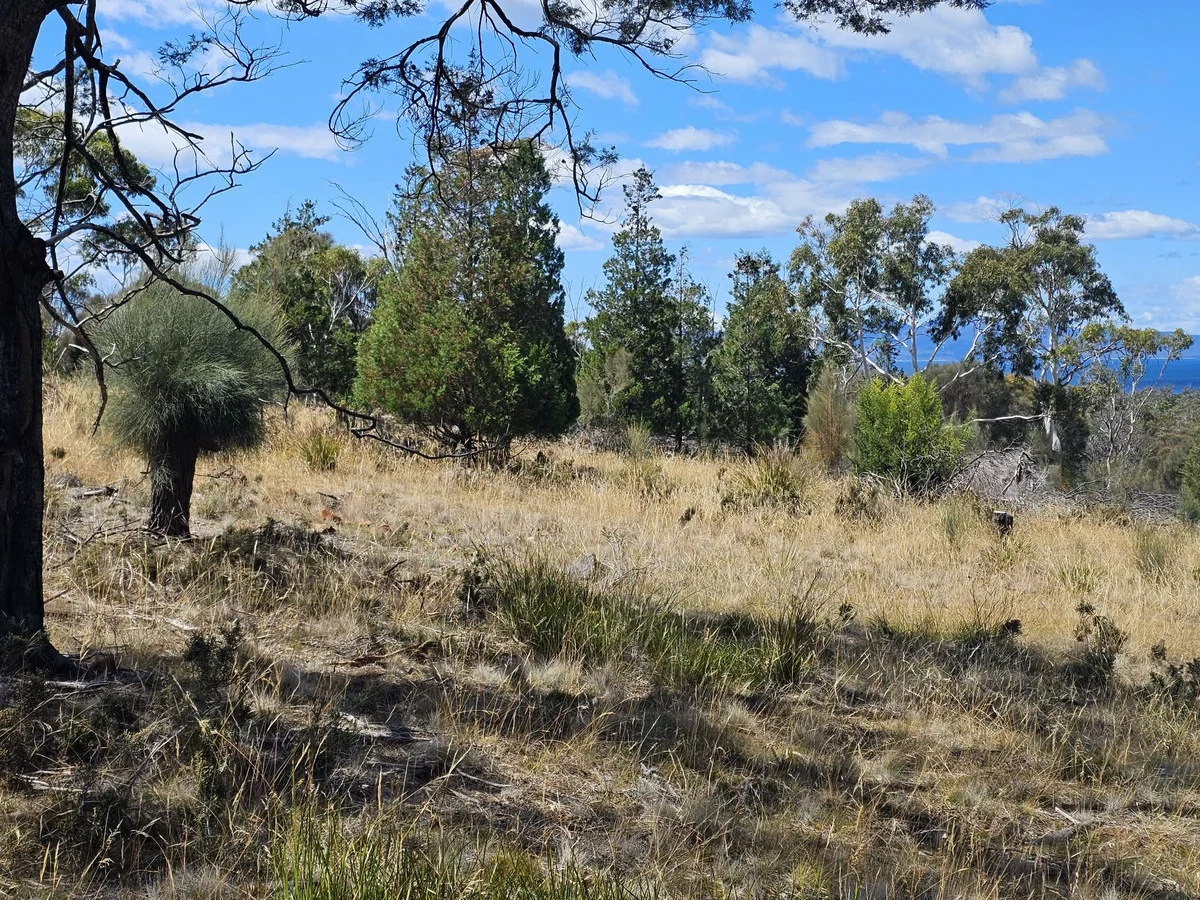 Additional image 2 of 3/5 Addison Street, Swansea TAS 7190