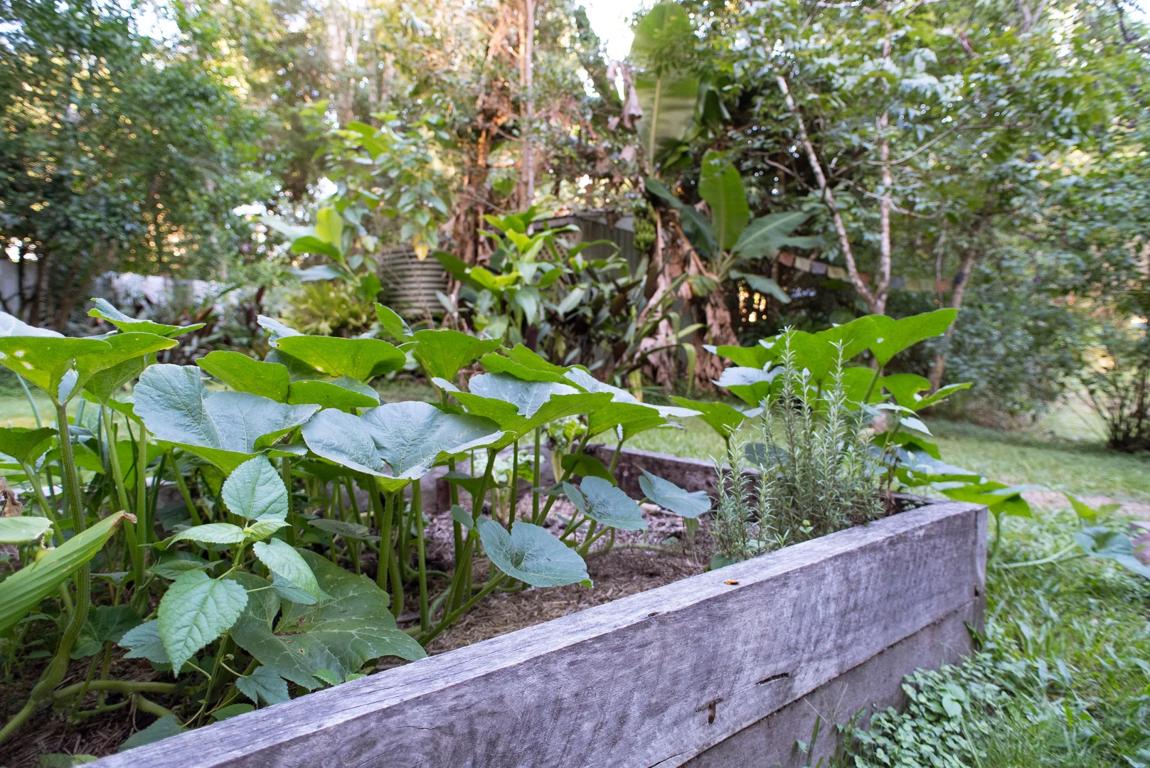 Additional image 17 of 38 Cooloon Street, Kunghur NSW 2484