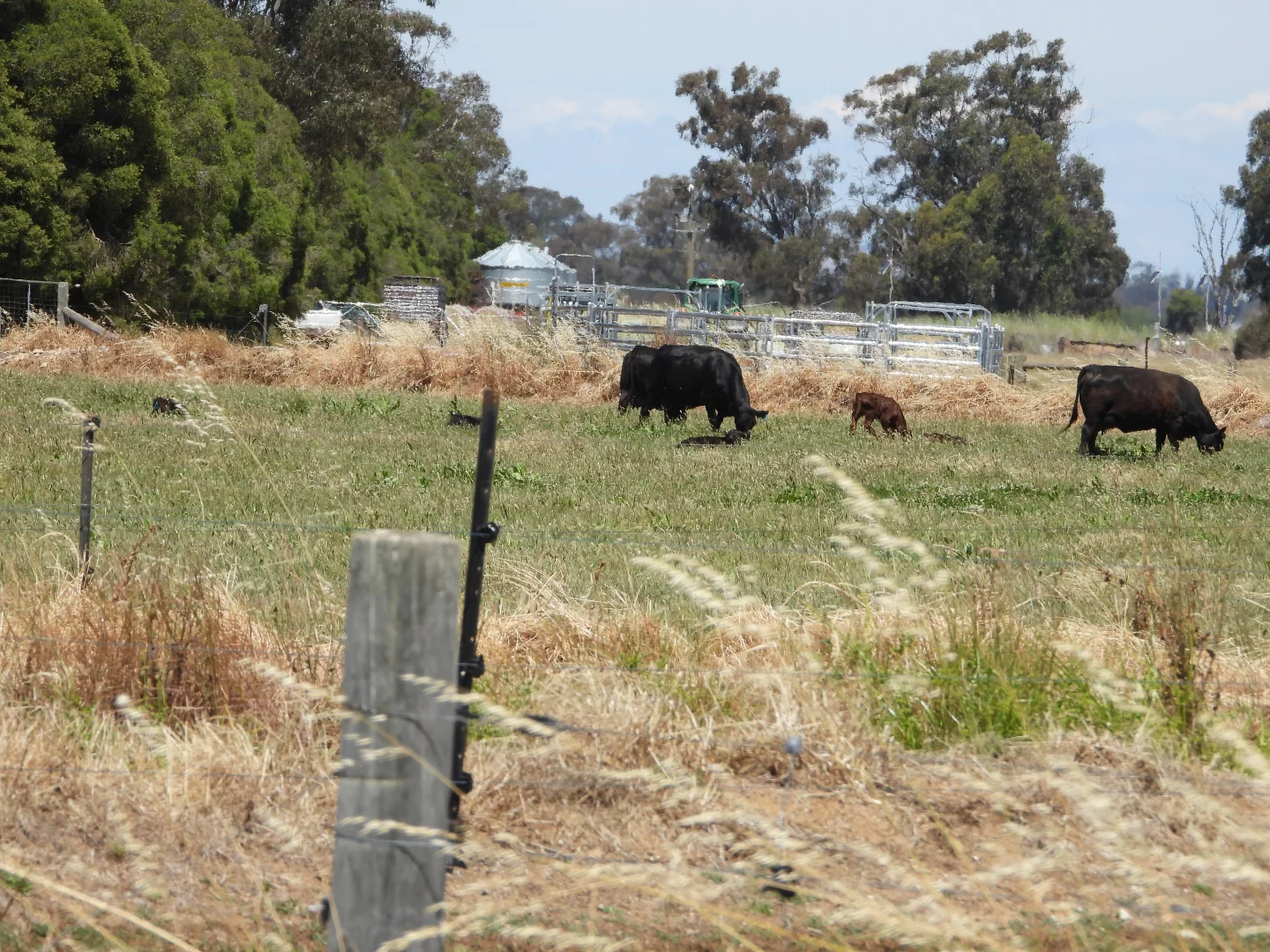 Additional image 13 of 1448 Labuan Road, Marungi VIC 3634