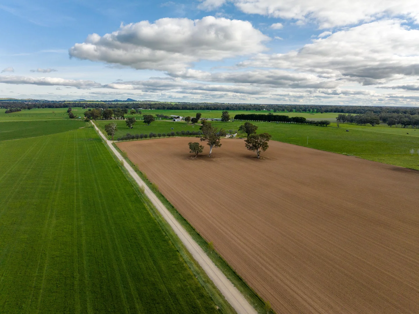 Additional image 9 of 1871 Old Narrandera Road, Euberta NSW 2650