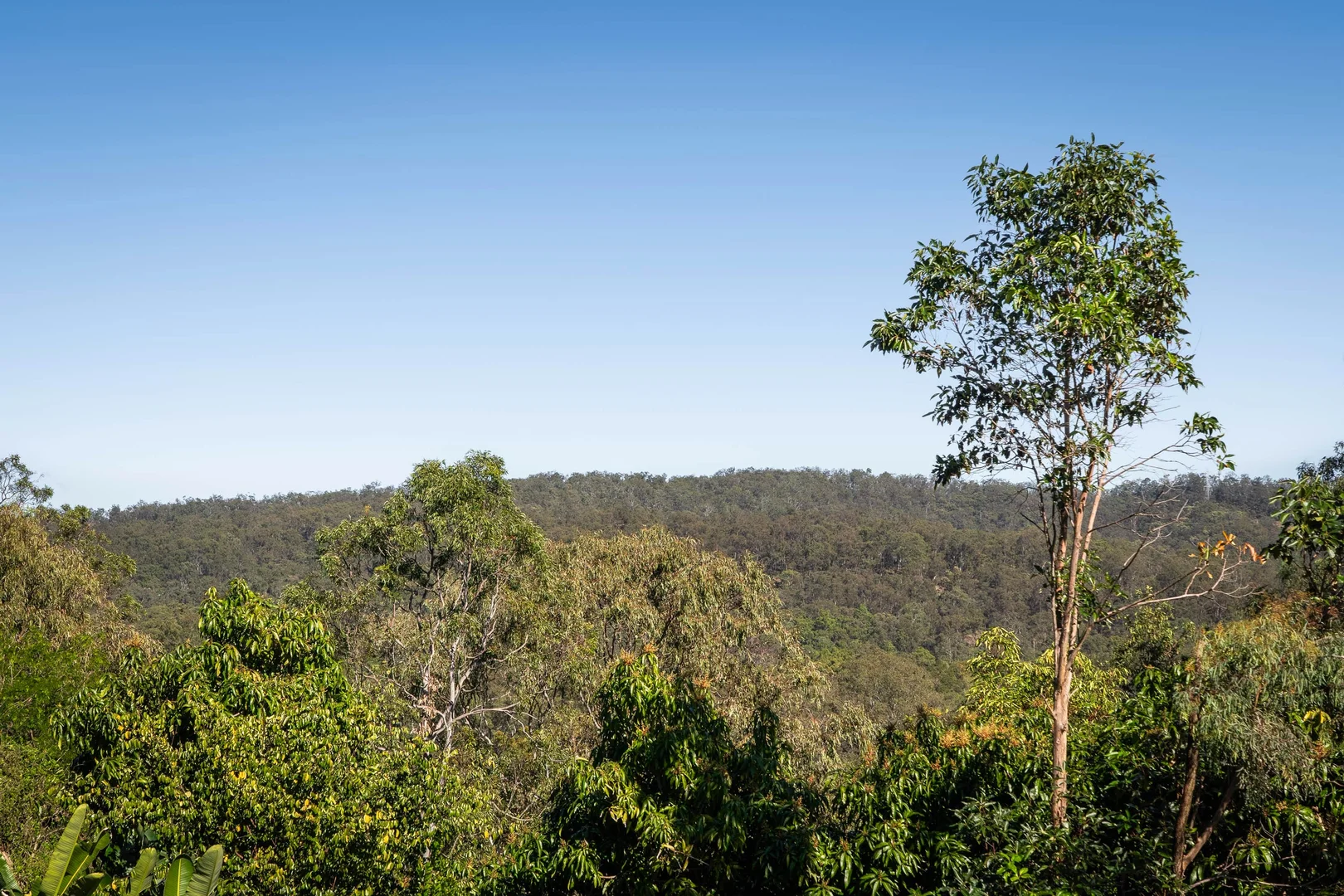 Additional image 4 of 15B Blue Hills Drive, Bunya QLD 4055