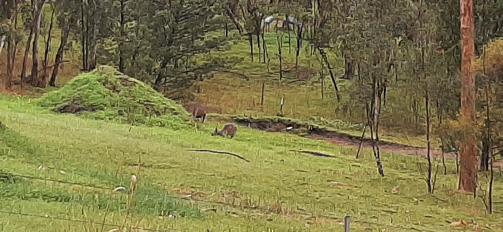 Additional image 5 of Lots 3 + 4 High Street West, Armagh SA 5453