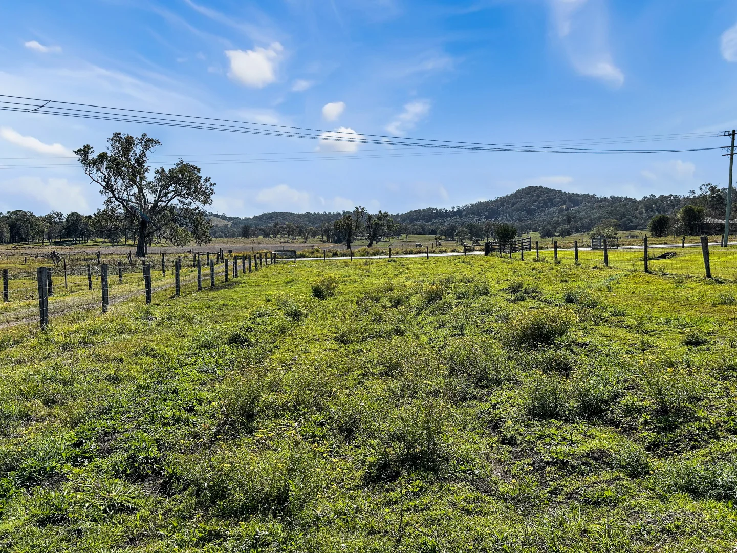 Additional image 5 of 955 Spring Grove Road, Spring Grove NSW 2470