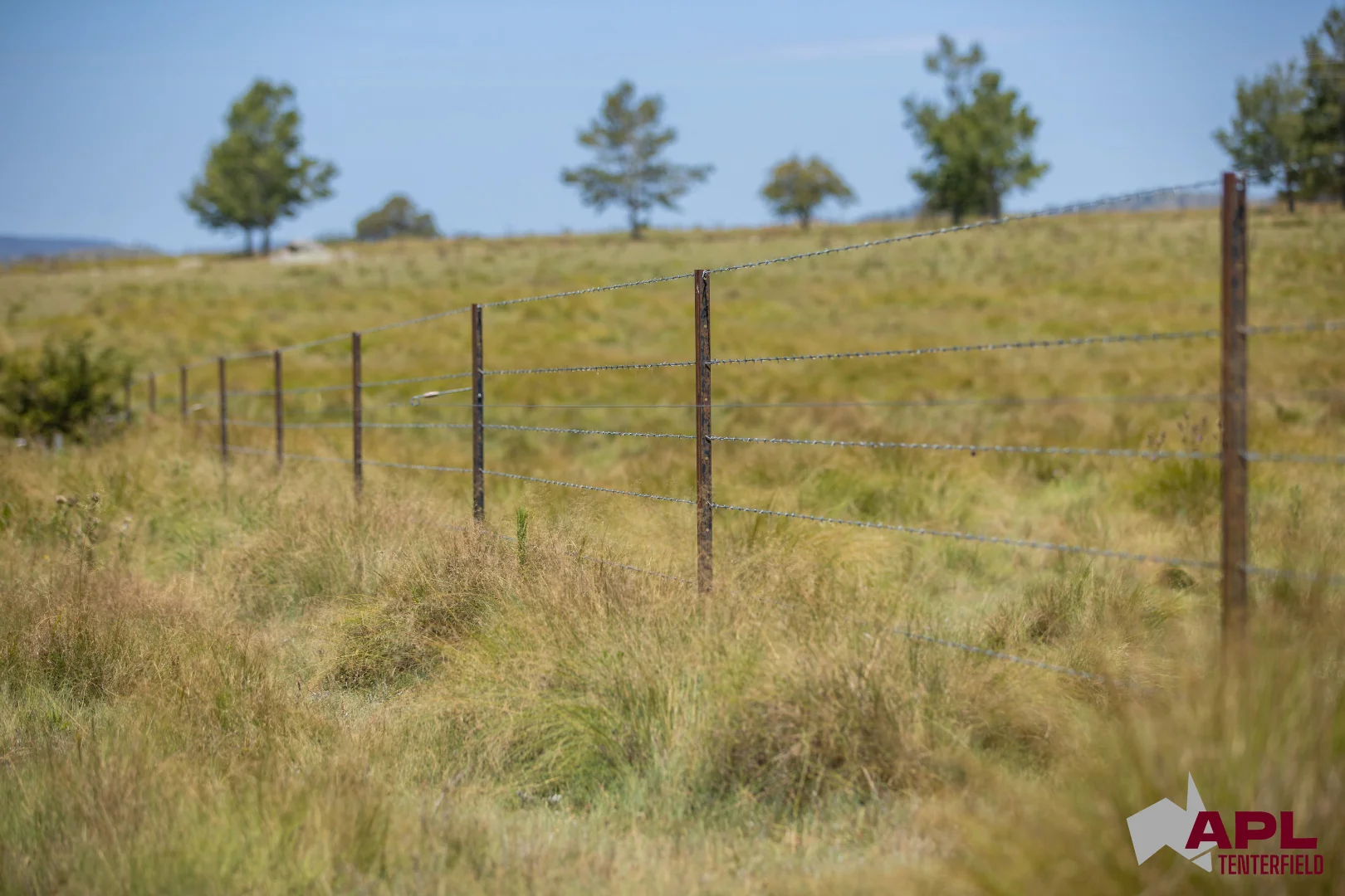 Additional image 12 of 210 Pelham Street, Tenterfield NSW 2372