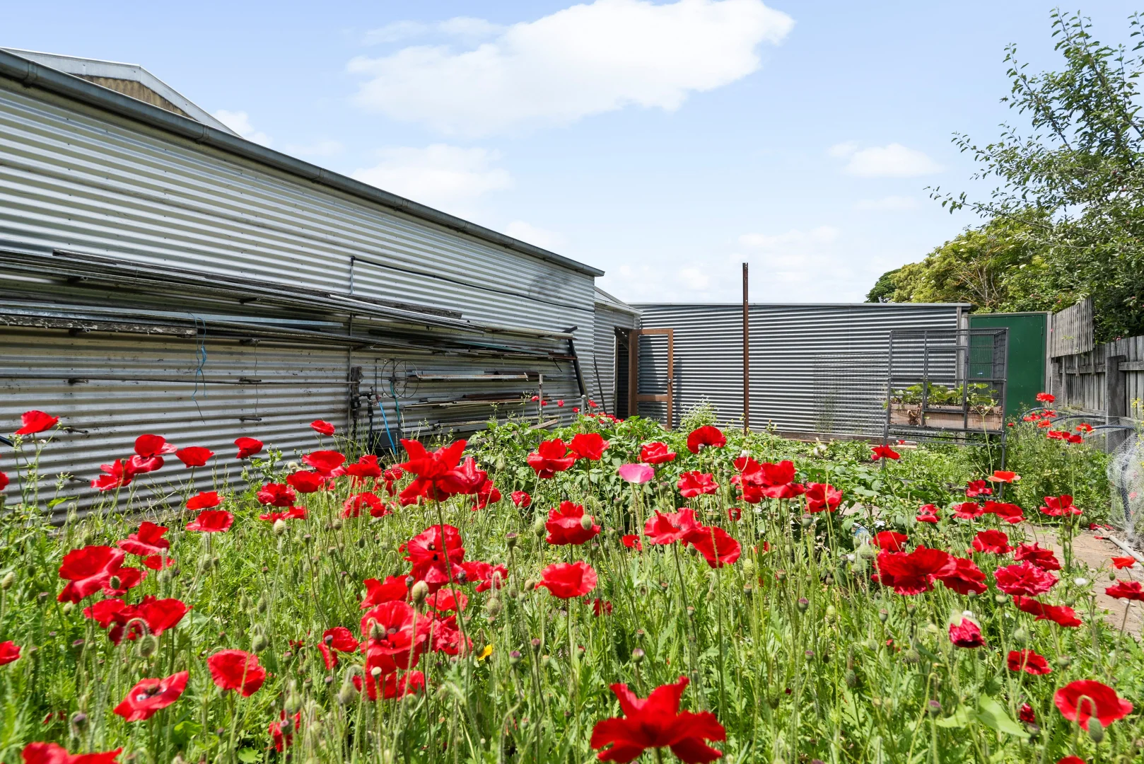 Additional image 9 of 18 Mair Street, Kyneton VIC 3444
