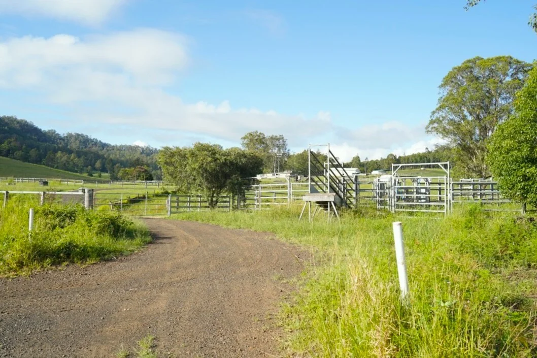 Additional image 44 of 1023 Iron Pot Creek Rd, Kyogle NSW 2474
