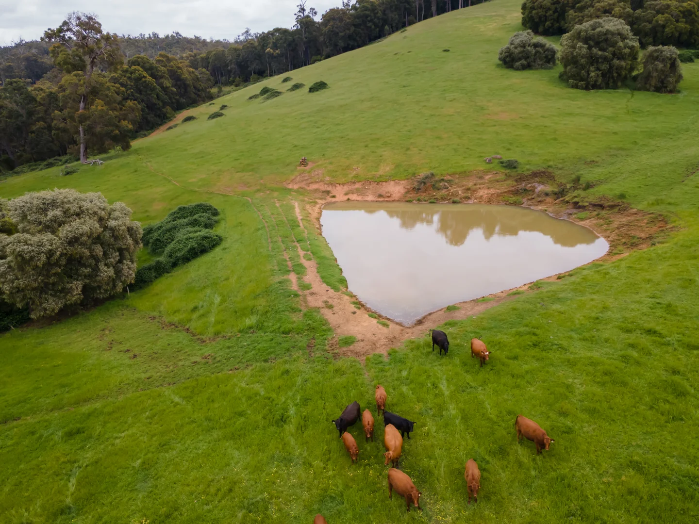 Additional image 10 of Lot 4 Kammann Road (Upper Warren), Manjimup WA 6258