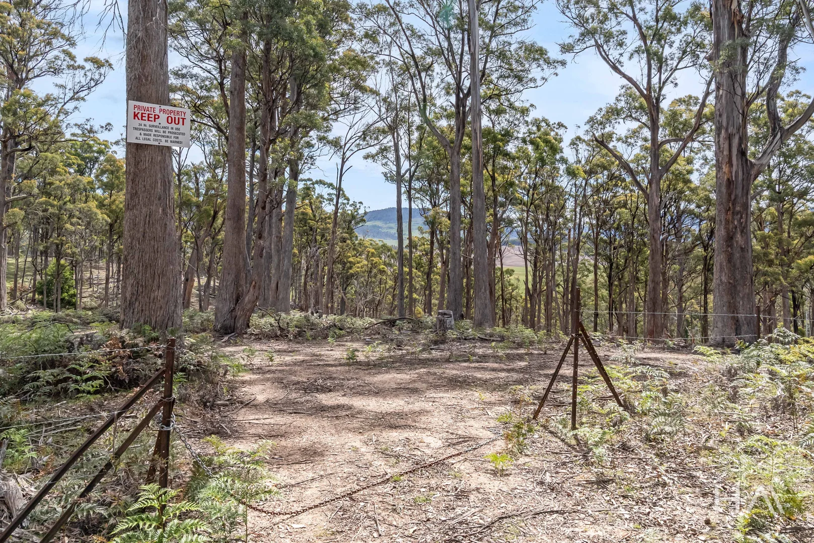 Additional image 6 of English Town Road, Deddington TAS 7212