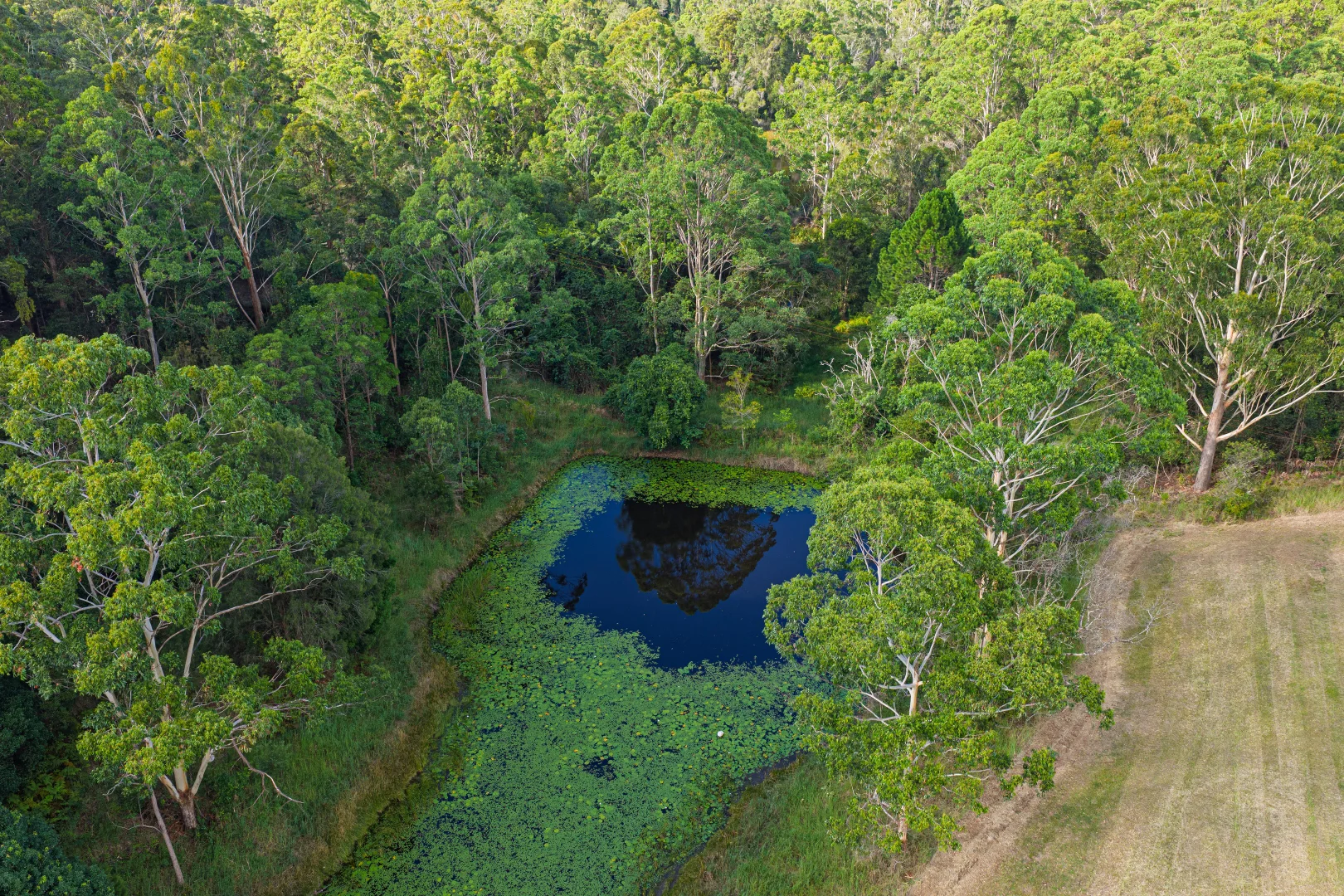 Additional image 31 of 314 Jerusalem Road, Stewarts River NSW 2443