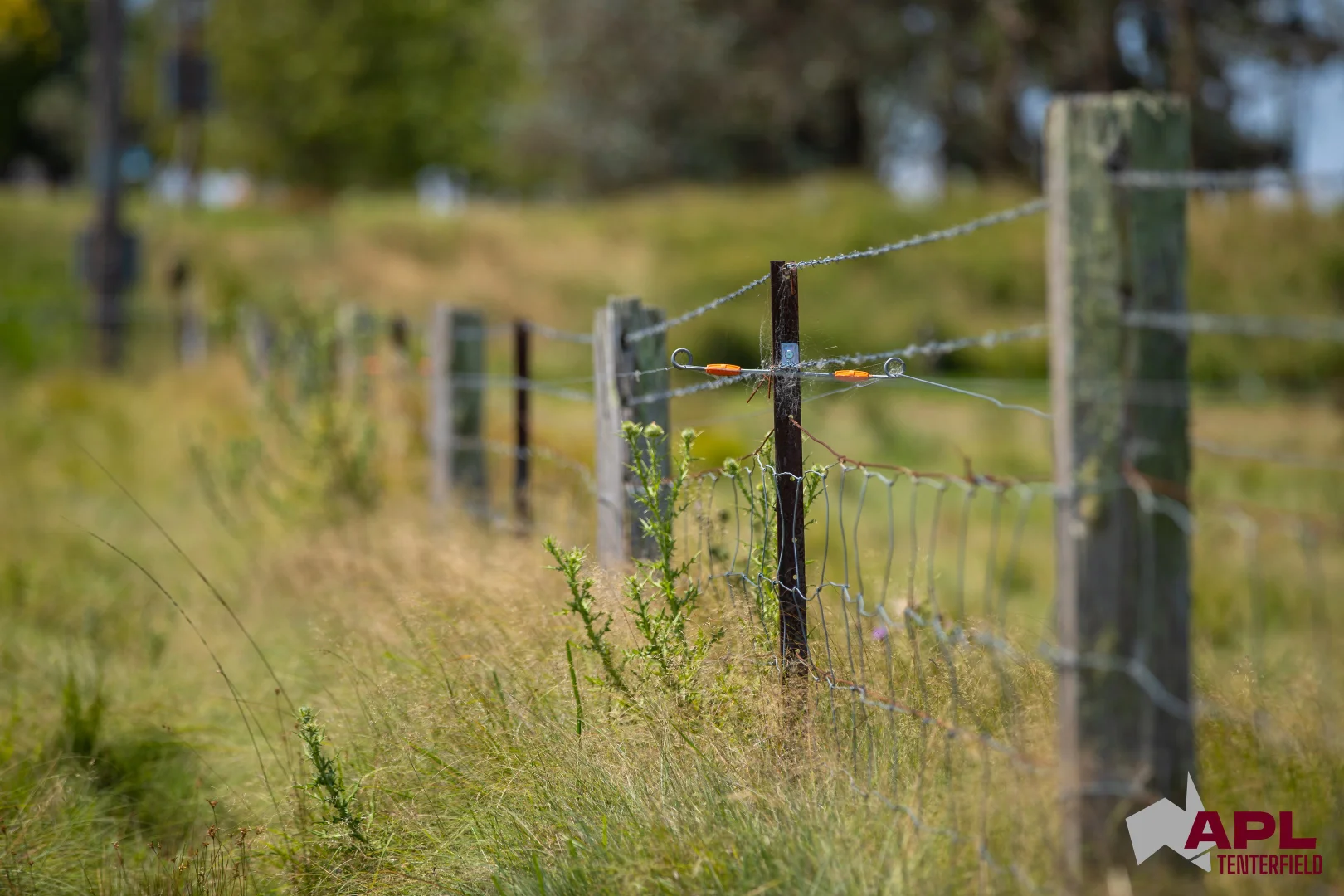 Additional image 22 of 210 Pelham Street, Tenterfield NSW 2372