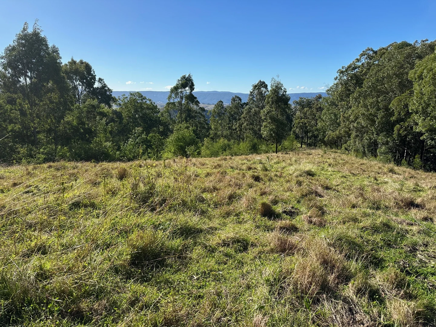 Additional image 18 of 129 Quartpot Creek Road, Dungog NSW 2420
