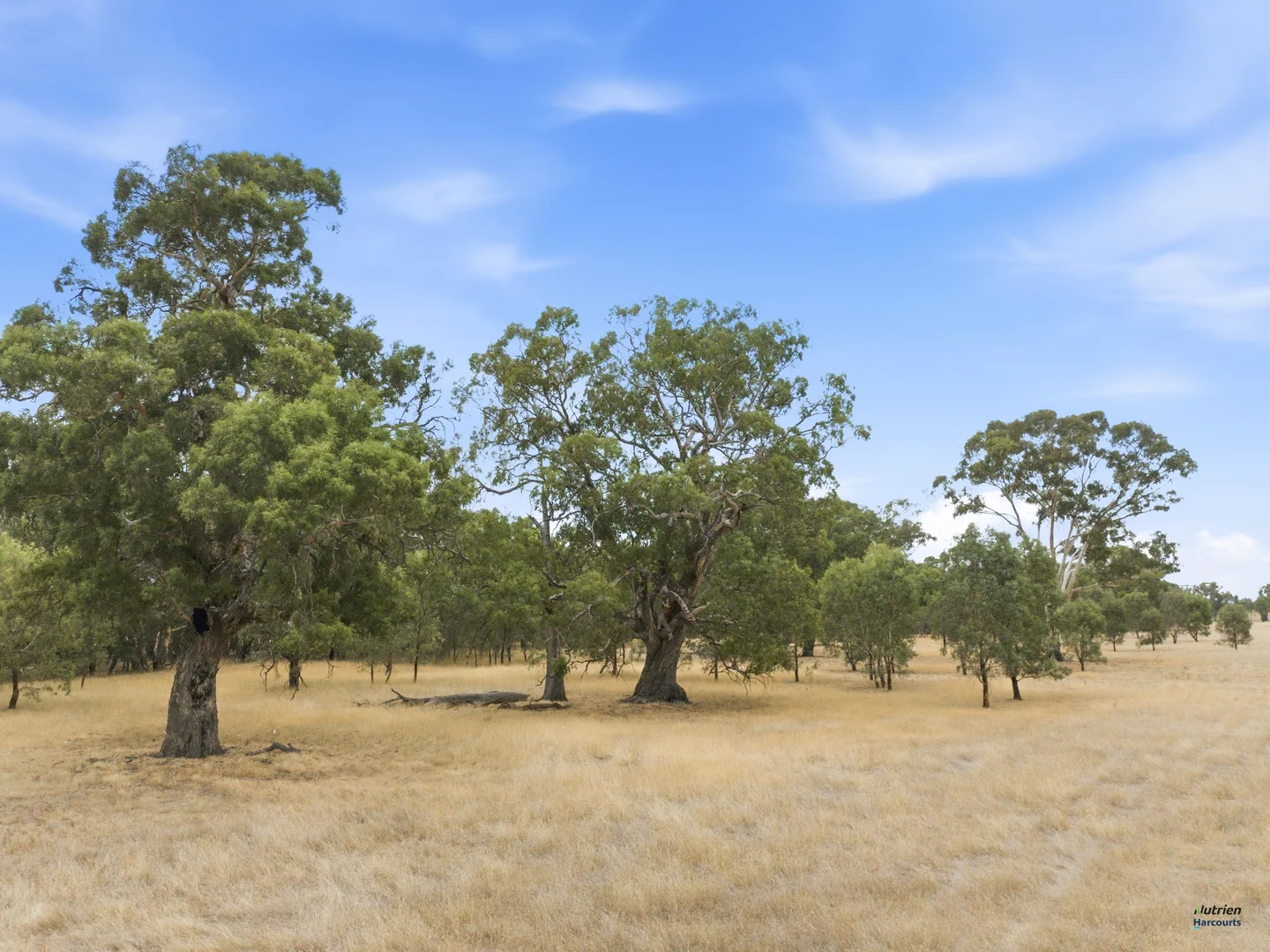 Additional image 9 of Cnr Burness Rd & Four Mile Rd, Benalla VIC 3672