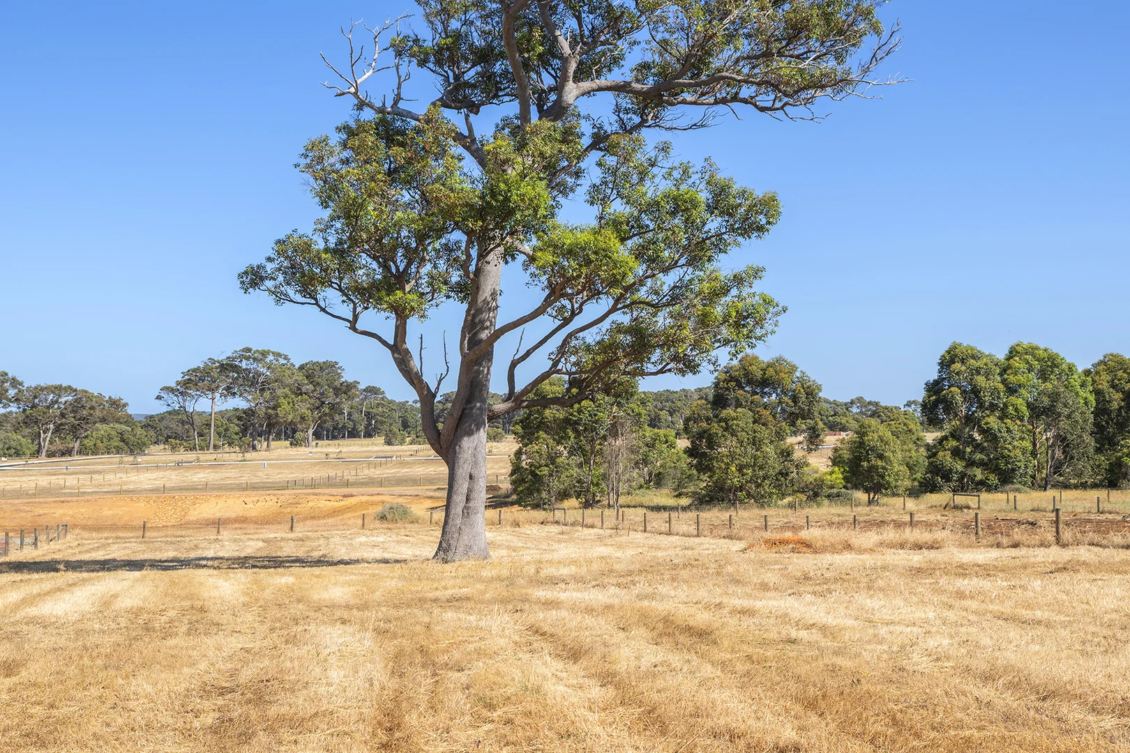 Additional image 2 of 374 Kudardup Road, Kudardup WA 6290