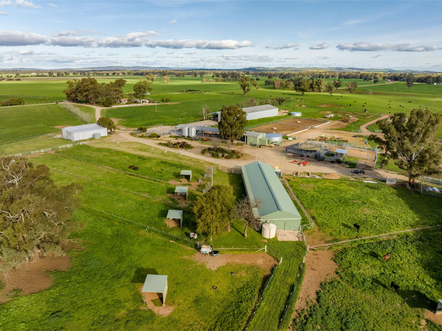 Additional image 20 of 1871 Old Narrandera Road, Euberta NSW 2650