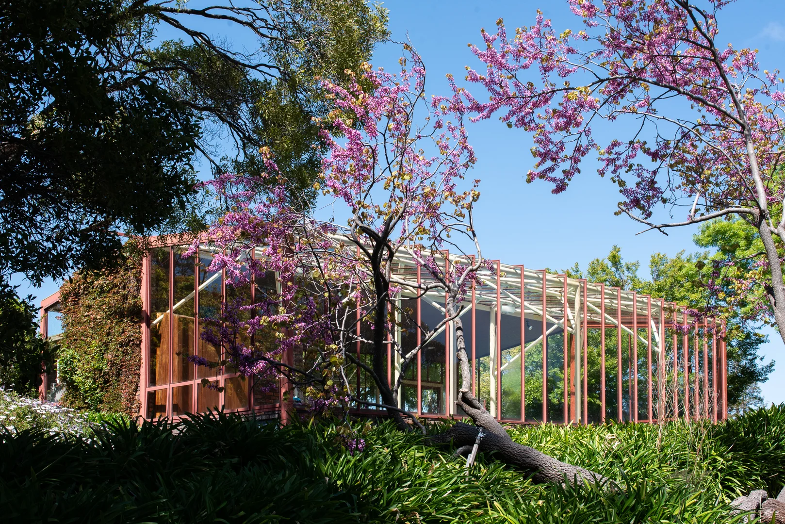 Additional image 12 of 40577 Tasman Highway, St Leonards TAS 7250