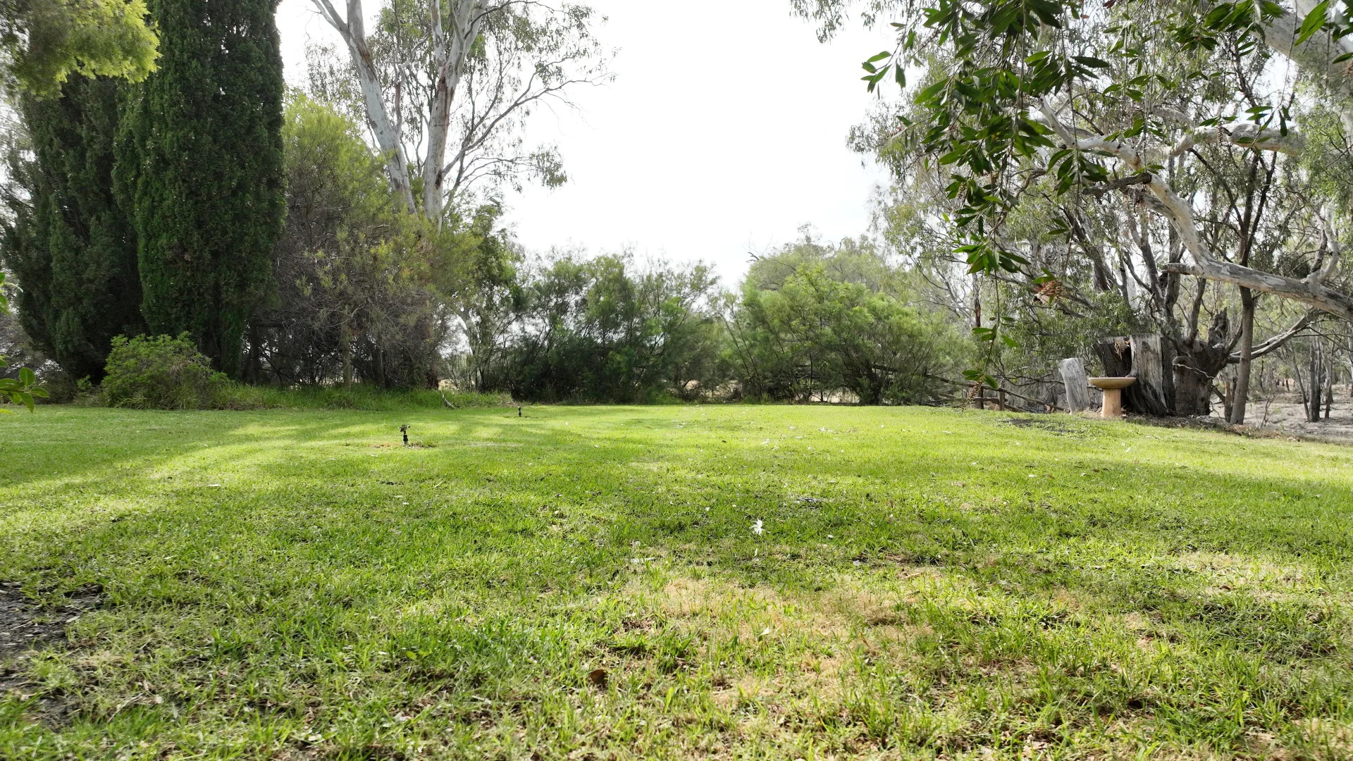 Additional image 10 of Calimo Park Brassi Road, Deniliquin NSW 2710