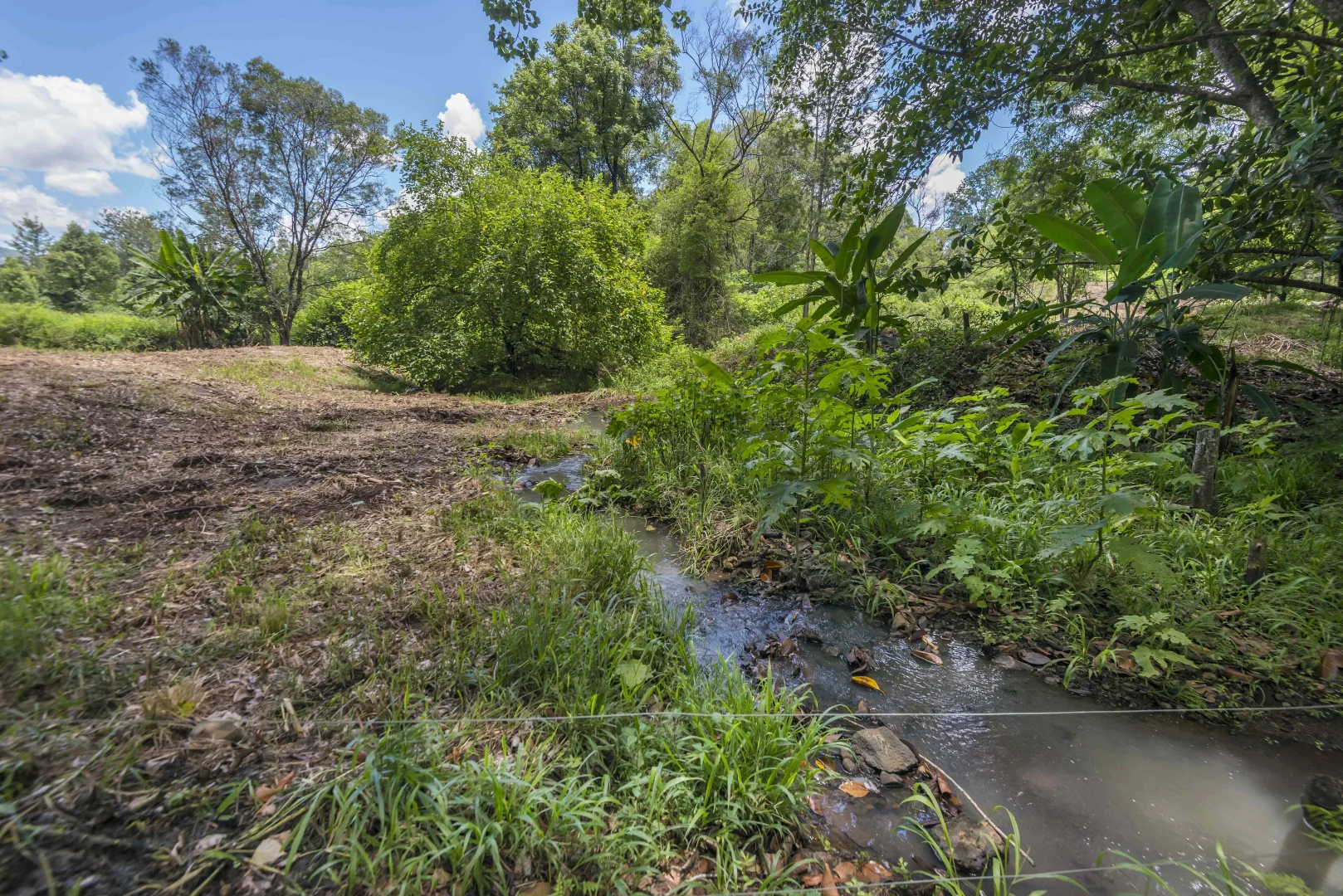 Additional image 15 of 353 Gungas Road, Nimbin NSW 2480