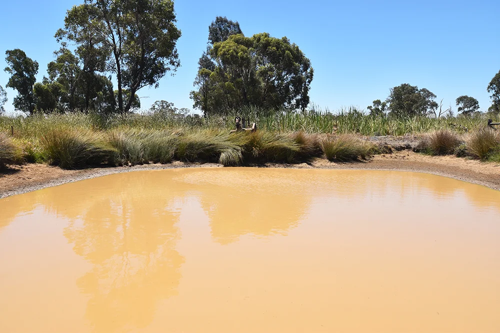 Additional image 8 of 800 Mason Road, Girgarre VIC 3624