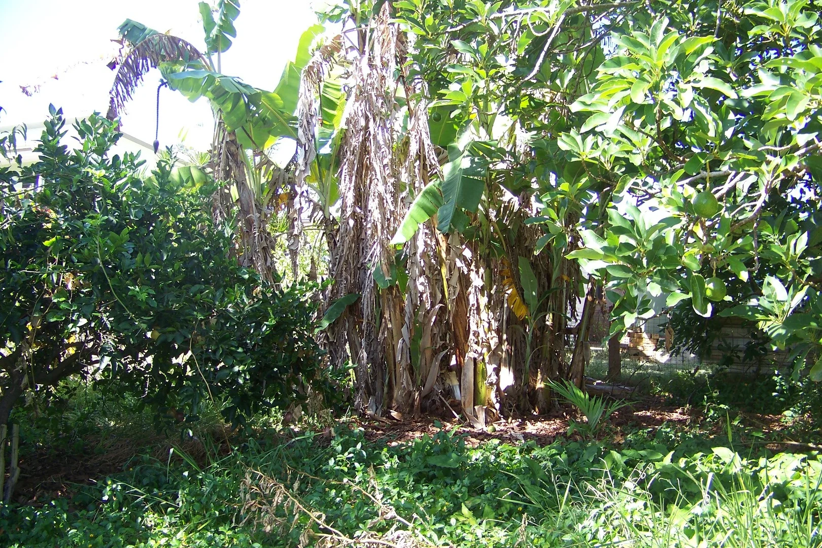 Additional image 12 of 29 Pine Avenue, Lamb Island QLD 4184