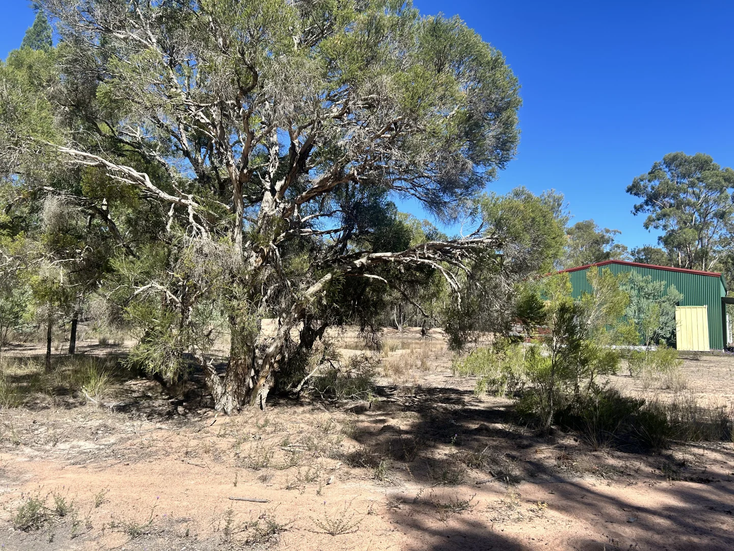 Additional image 11 of Lot 110 Biggs Rd, Coolmunda QLD 4387