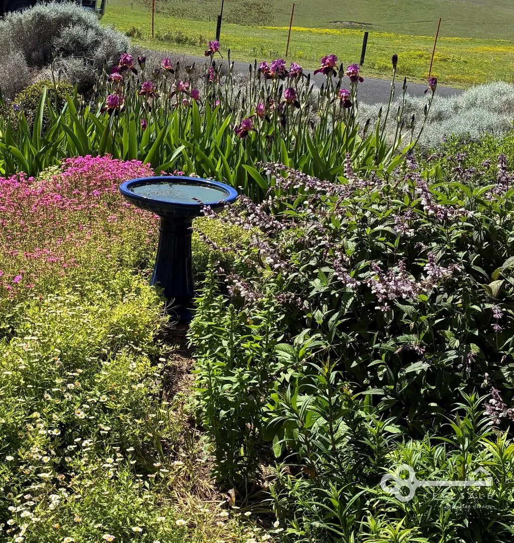 Additional image 25 of 21 Wade Street, Nelson VIC 3292