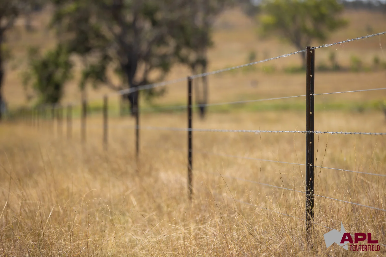 Additional image 34 of 1696 and 1799 New England Highway, Tenterfield NSW 2372