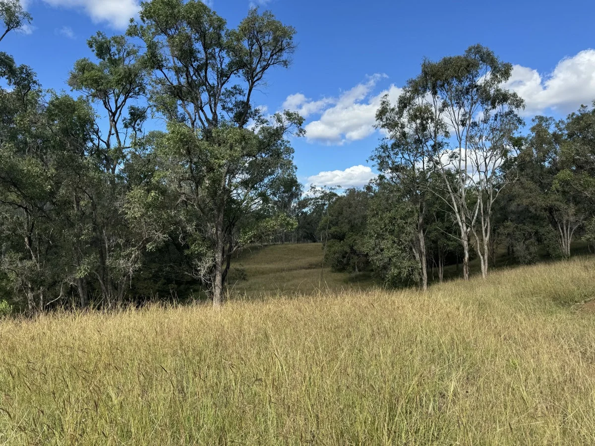 Additional image 13 of 186 Mungungo Creek Road, Monto QLD 4630