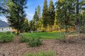 Additional image 49 of 11198 Pittsburg Mine Rd, Nevada City, CA, 95959