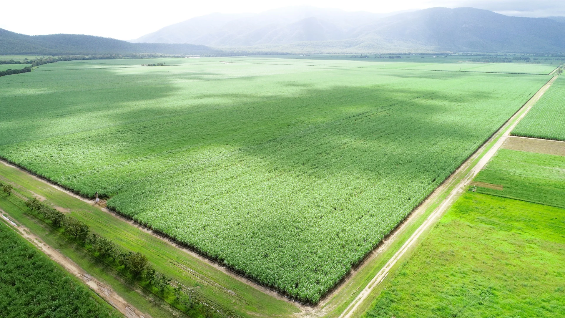 Additional image 14 of Giru QLD 4809