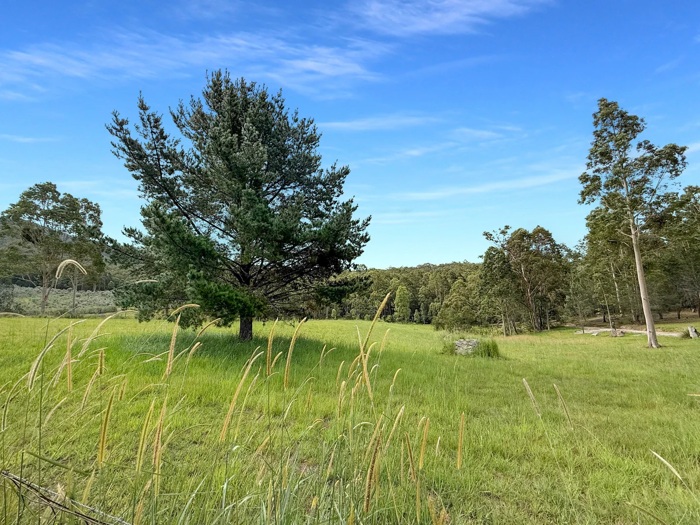 Additional image 29 of 121 Eglinford Lane, Congewai NSW 2325