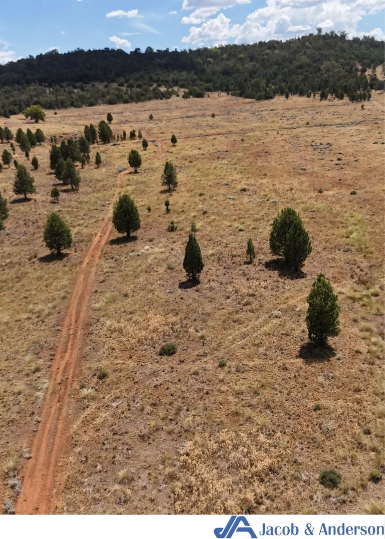 Additional image 22 of 169 Doubleday Road, Gunnedah NSW 2380