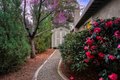 Additional image 39 of 4218 Weathervane Ct, El Dorado Hills, CA, 95762