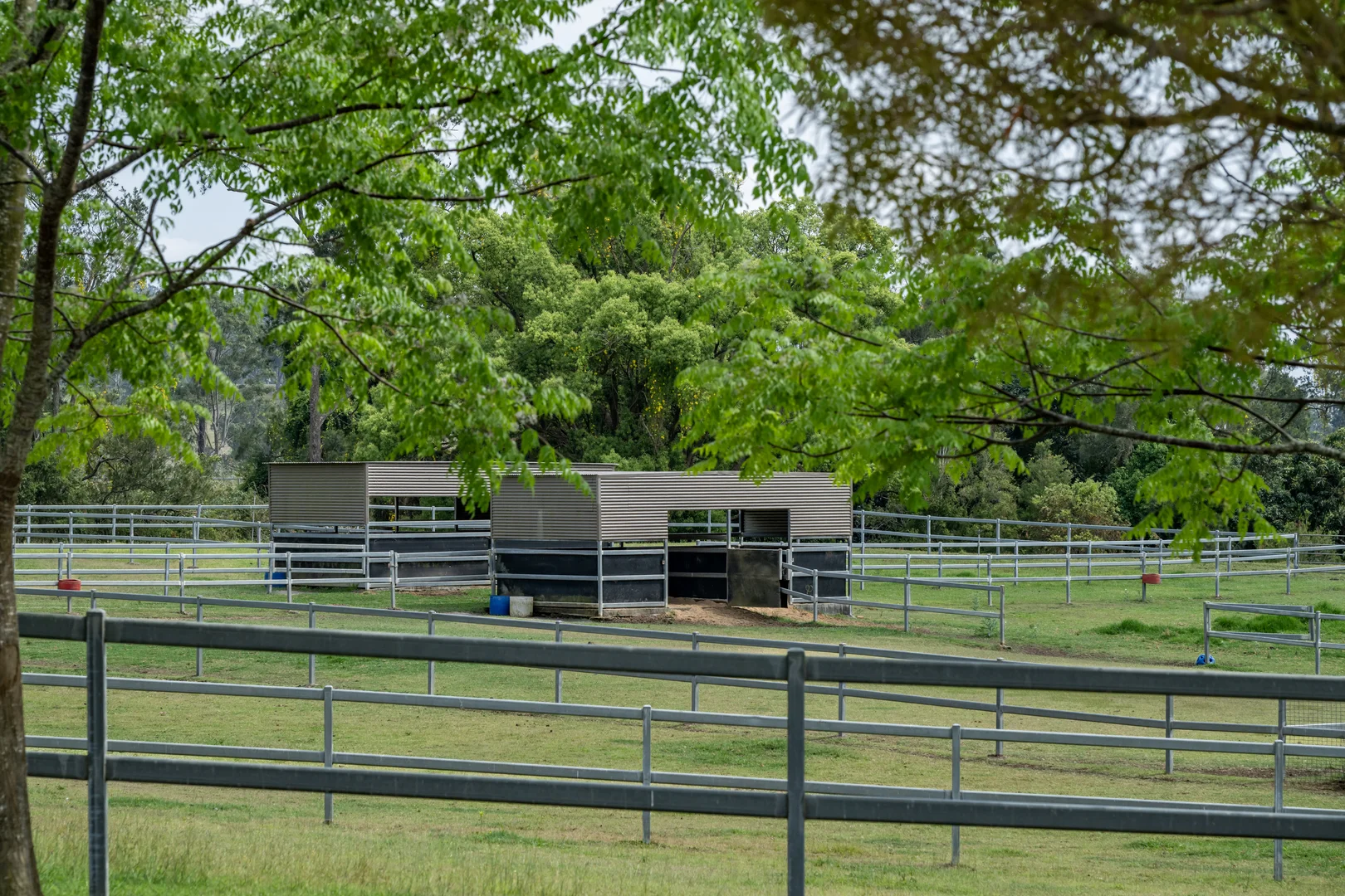 Additional image 29 of 2567 Beaudesert Nerang Road, Benobble QLD 4275