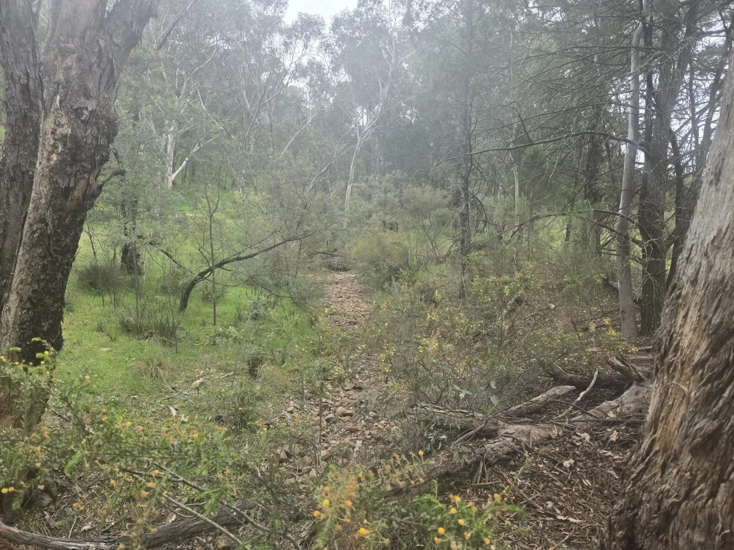 Additional image 6 of 1657 Kangarooby Road, Gooloogong NSW 2805