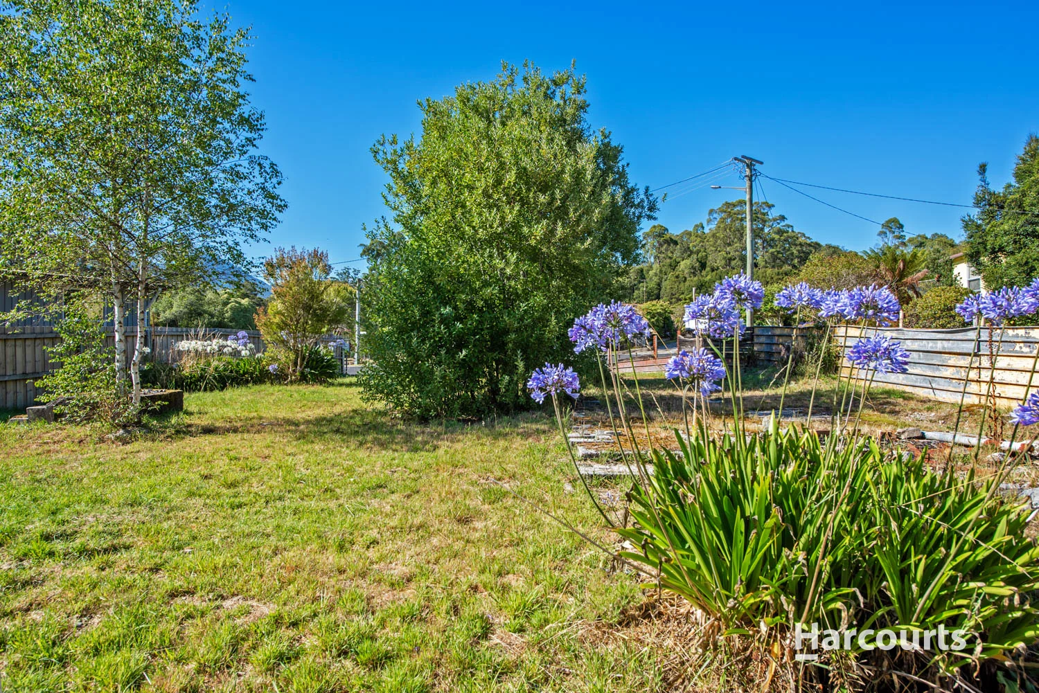 Additional image 3 of 6 Acacia Court, Rosebery TAS 7470