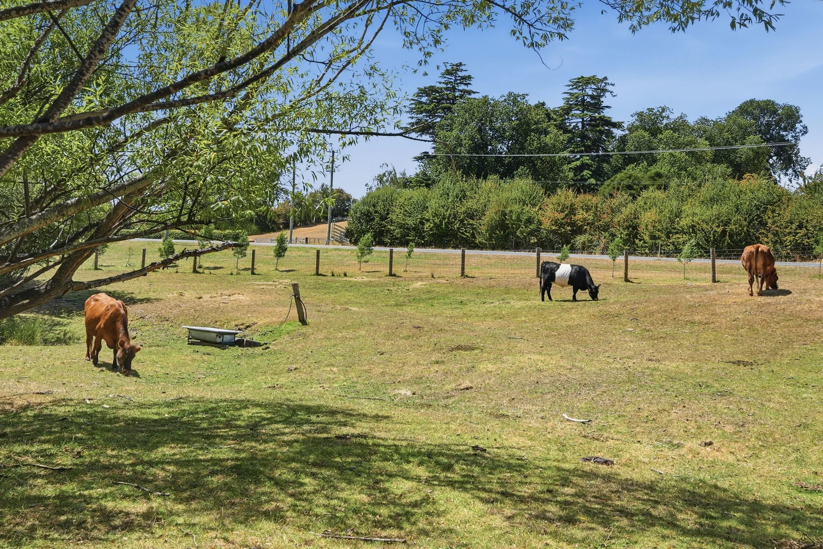 Additional image 28 of 1867 Lilydale Road, Lilydale TAS 7268