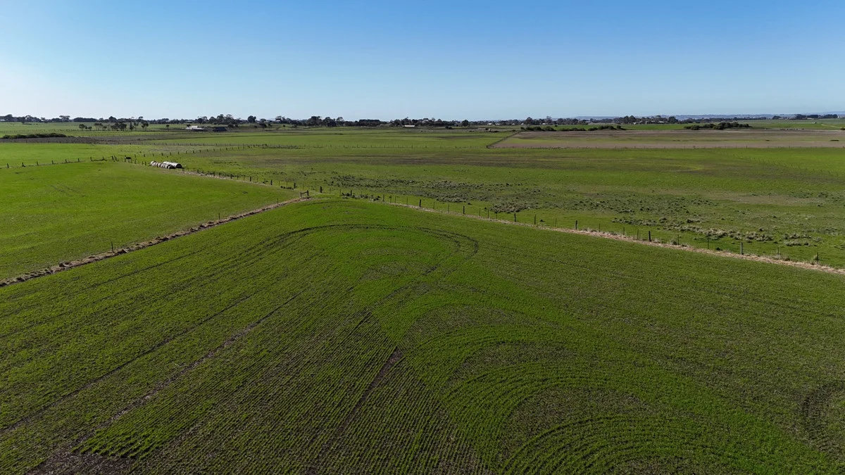 Additional image 4 of 321 Larpent Road, Cororooke VIC 3254