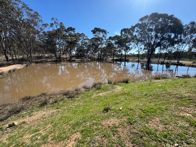 Additional image 5 of 4CA Calder Highway, Wedderburn VIC 3518