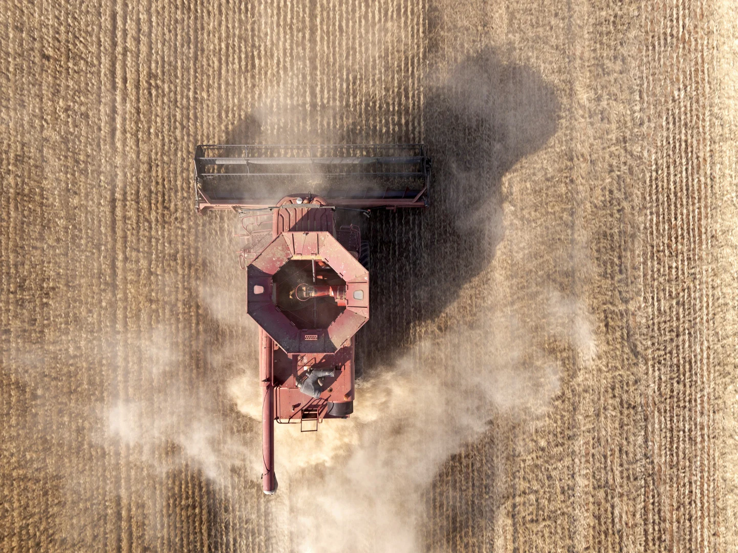 Additional image 23 of 'Leske Farm' Thiele Highway, Freeling SA 5372