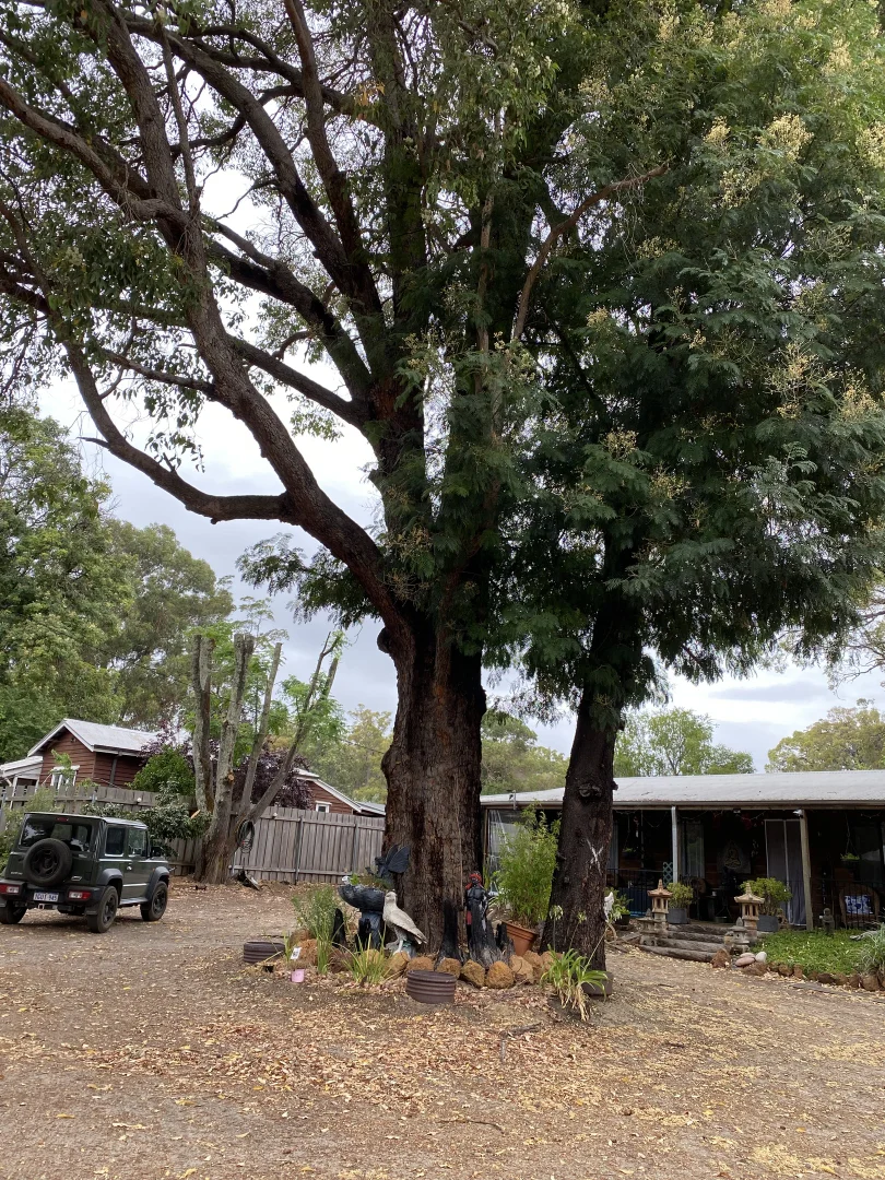 Additional image 2 of 63 Marginata Crescent, Dwellingup WA 6213