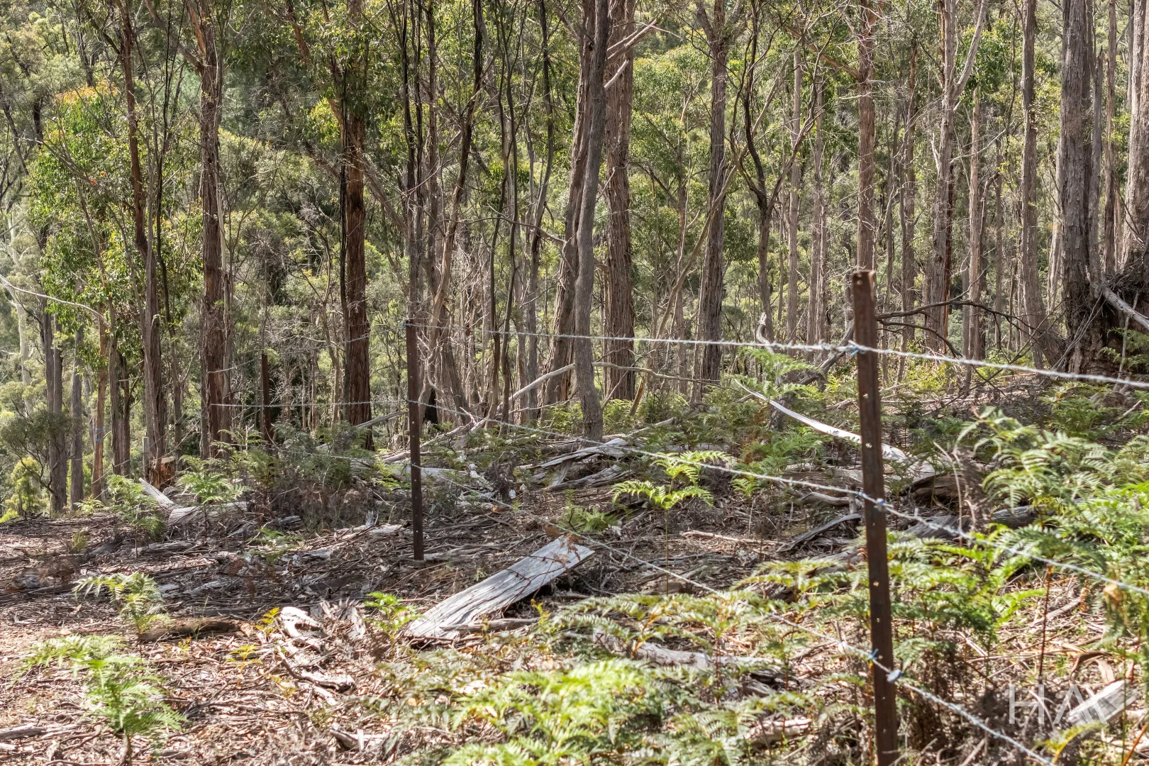 Additional image 15 of English Town Road, Deddington TAS 7212