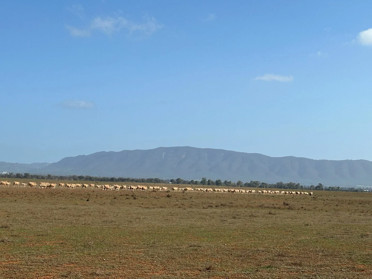 Additional image 17 of 'Daly's' Collins Road, Willowie SA 5431