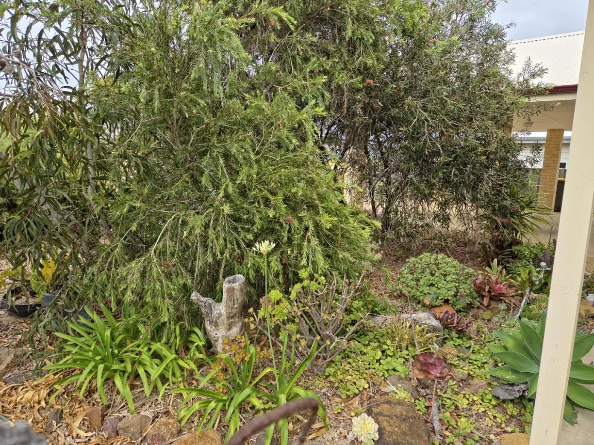 Additional image 3 of 50 Maitland Street, Hopetoun WA 6348