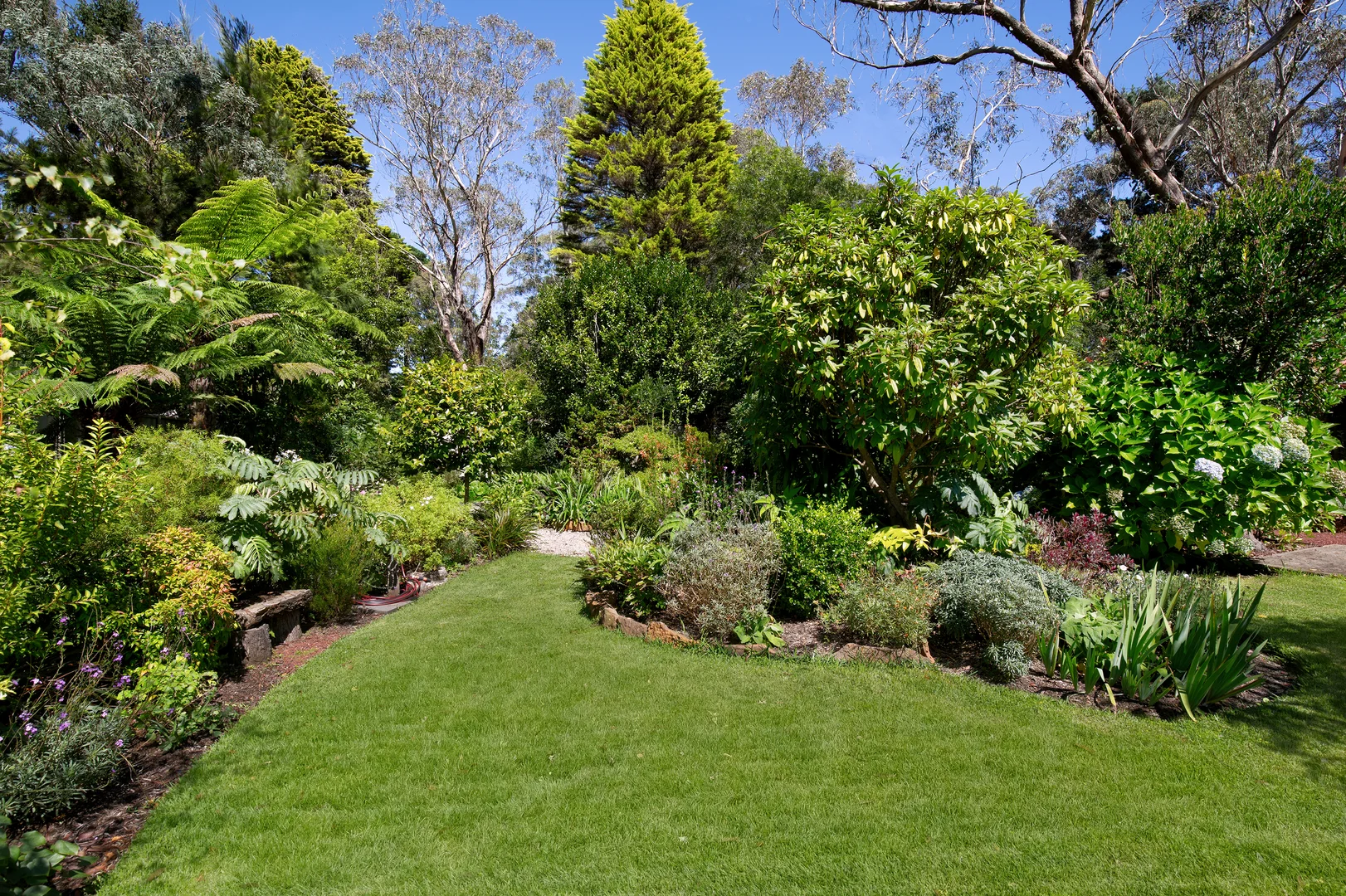 Additional image 9 of 7 Heath Street, Blackheath NSW 2785