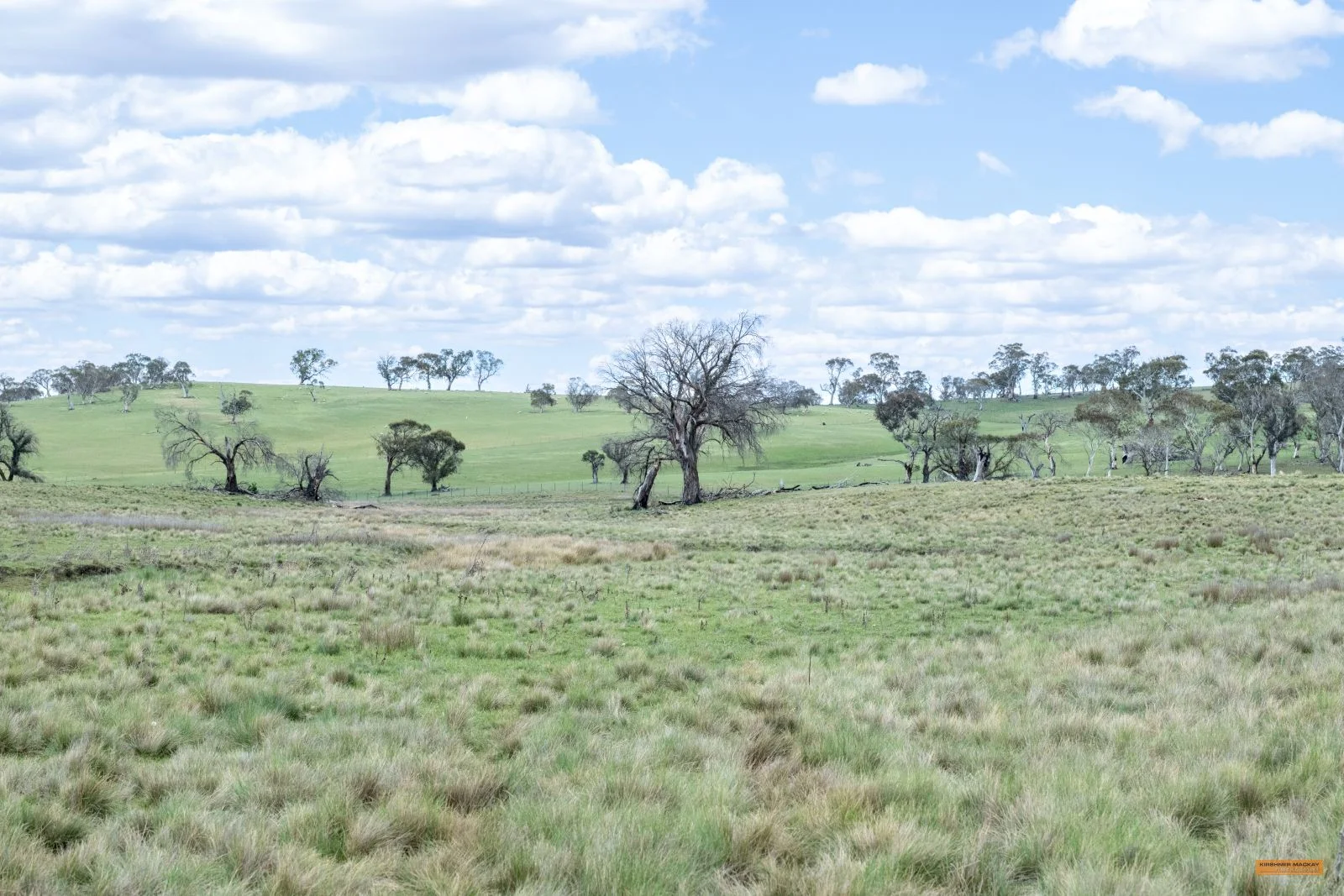 Additional image 23 of Lot 6 Avonside Road, Avonside NSW 2628