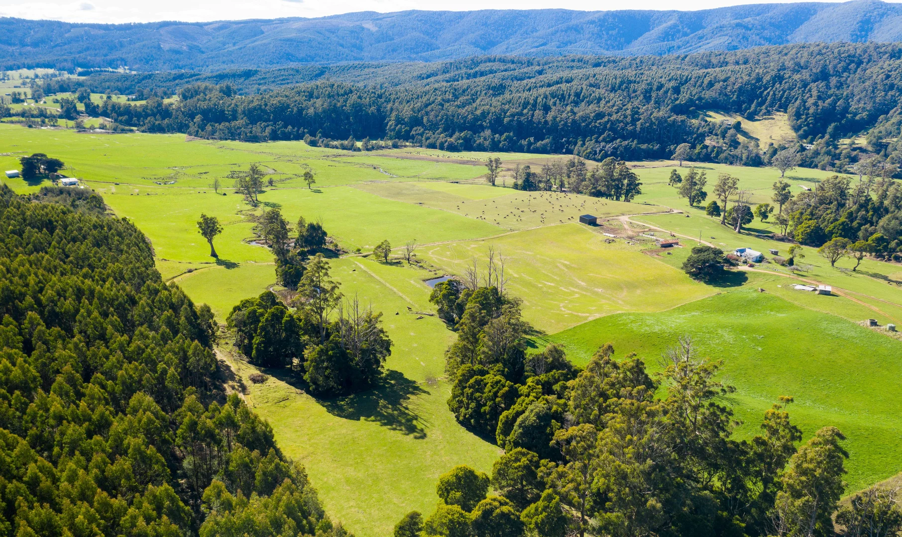 Additional image 28 of Alberton TAS 7263