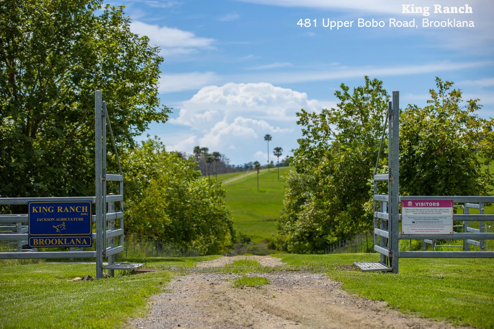 Additional image 6 of "King Ranch" 481 Upper Bobo Road, Dorrigo NSW 2453