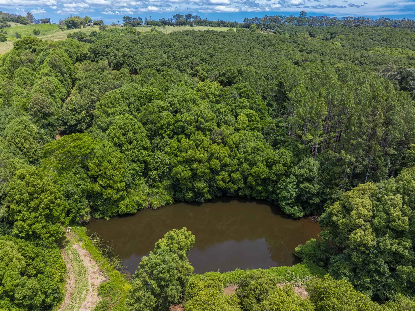 Additional image 8 of 1025 Lismore Road, Nashua NSW 2479